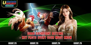 49JILI Cockfight Betting – Key Facts Every User Must Know